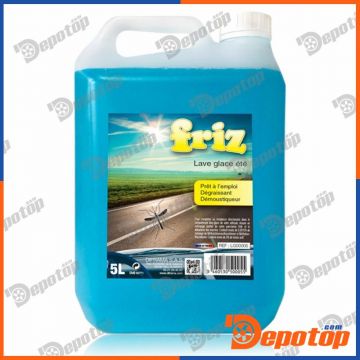 Lave Glace été Friz 5L - Diframa